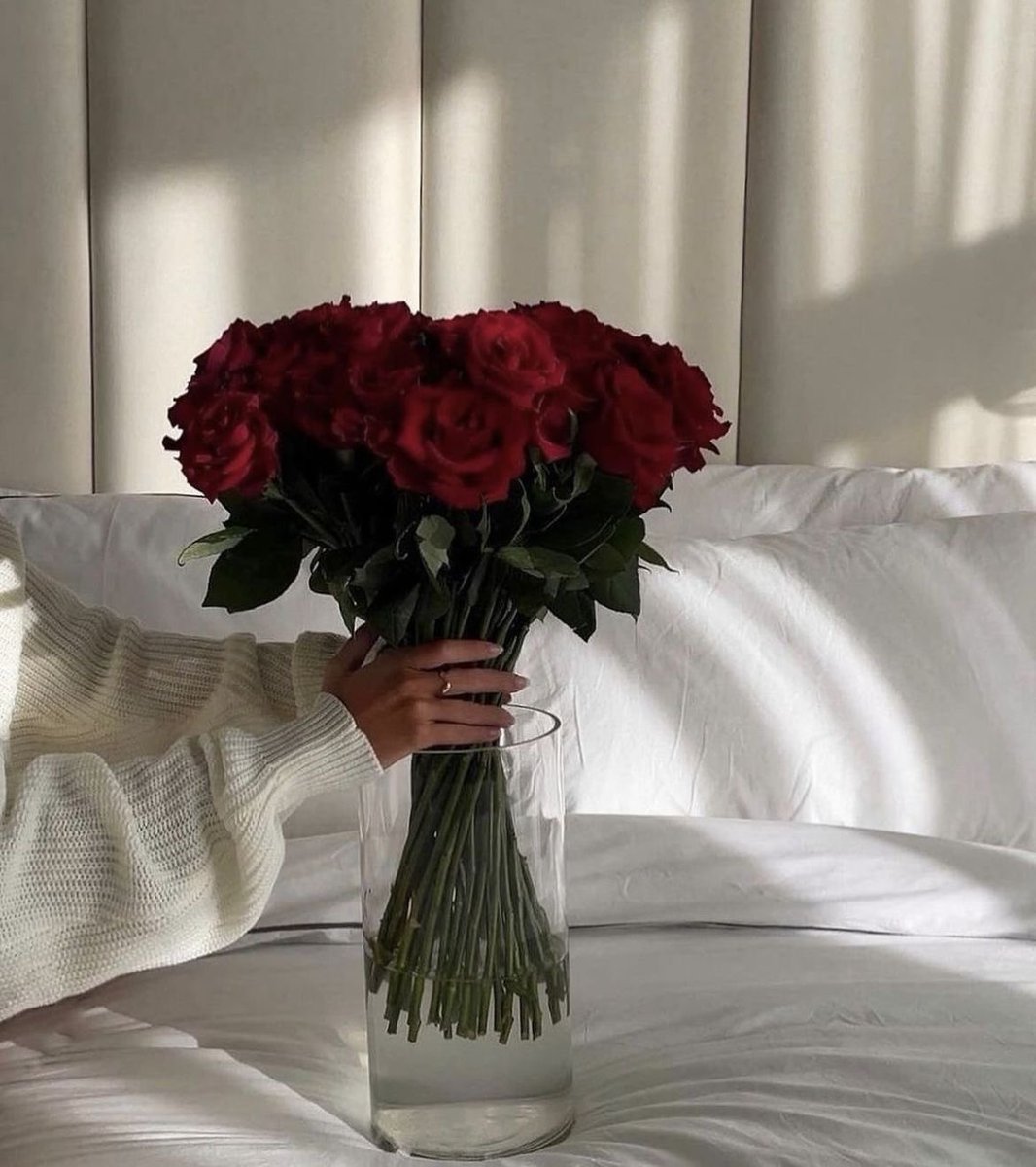 Red roses