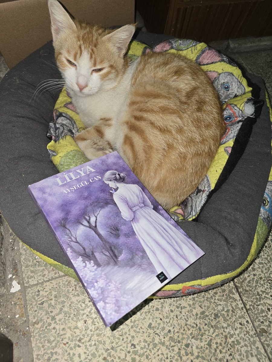 Günler solgun yapraklar misali,
Öylesine uçup gidiyor gönül heybemden aralıksızca.
Rengim, benzim atmış dermanım kalmamış.
Dertler bir tufan gibi bir bir kurutuyor bedenimi.
#gönlülalolmuşhayallerim
#kitap #yazar #lilya #ayşegülcan #edebiyat #şiir