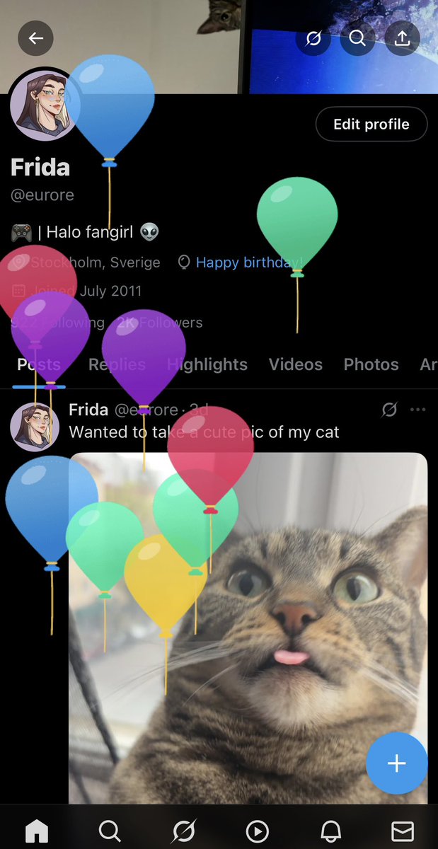 🎈 31