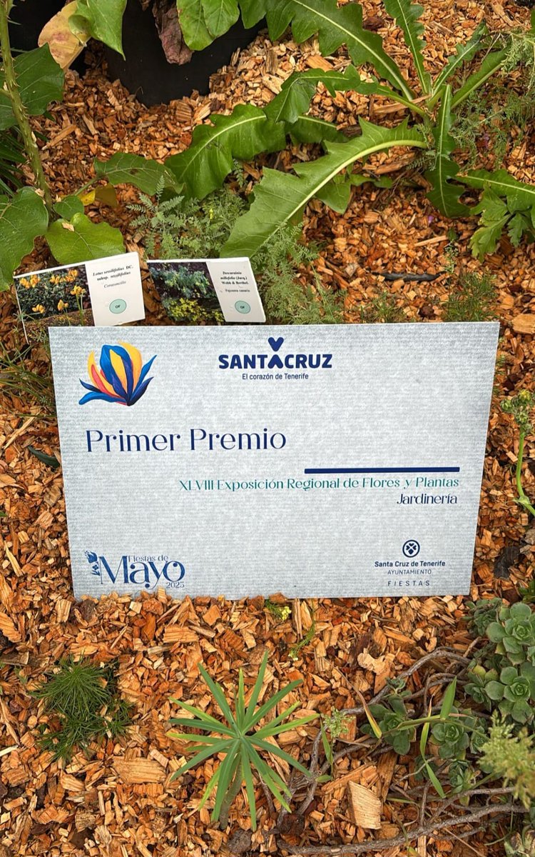El alumnado de 1° de CFGS de Paisajismo y Medio Rural, por segundo año consecutivo ha obtenido el 1° 9Premio en ajardinado  en la Feria de Plantas y flores del Parque García Sanabria de 2025. Felicidades a nuestro alumnado.