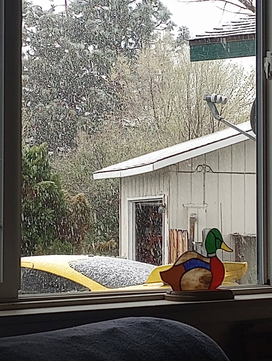 I LEFT THE LAWNMOWER GARAGE OPEN &amp; SNOWING.