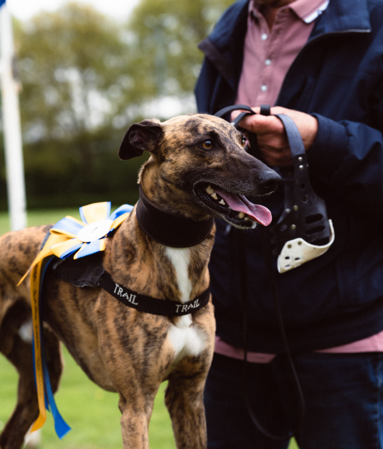 60 hounds.
10 races.
One champion.

The first HoundRace tournament begins at 9AM EST.
Broadcasted live on kick. kick.com/houndracingsol

One dog will cross the final finish line first.
Who will it be?
Find out in 12 hours.
#HoundRace