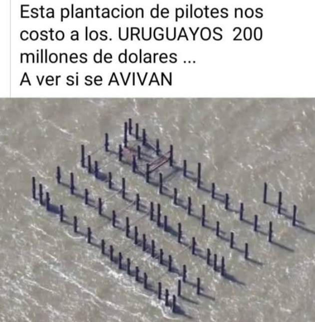 Gonzalo_Daniel3's tweet photo. Saben la cantidad de comedores y escuelas que se podrian mantener con la plata tirada por el fapit? https://t.co/fxUsYzVeDG