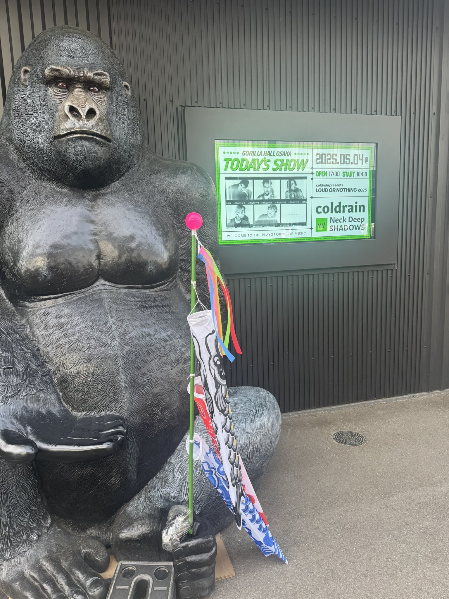 GORILLA HALL OSAKA on X: 