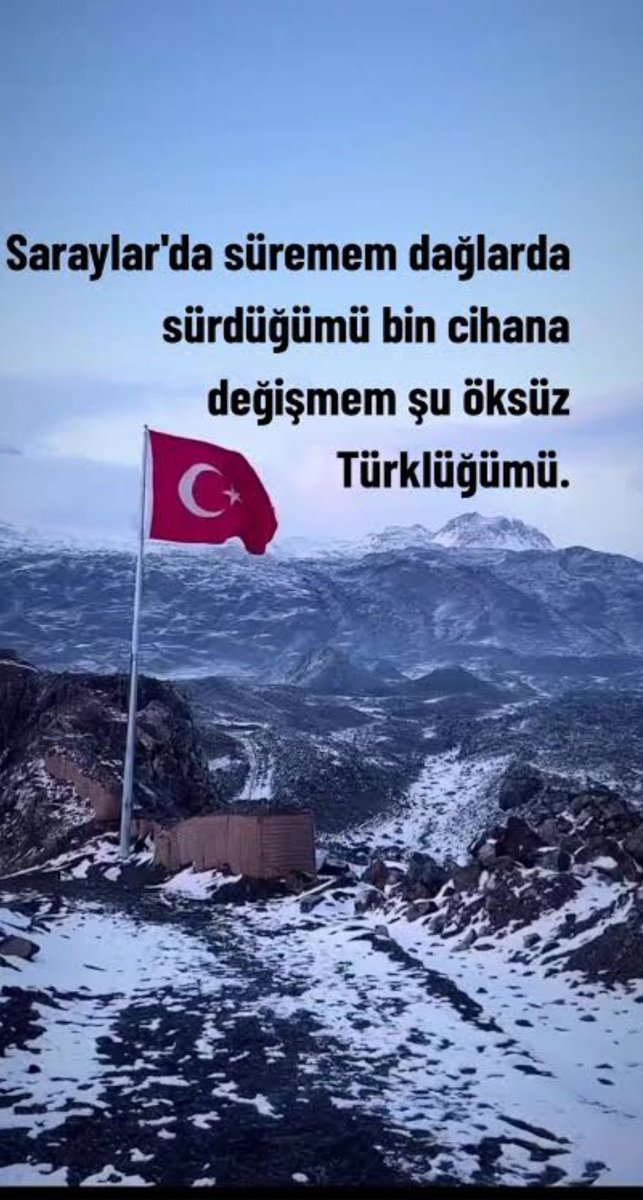 Probably liver (@probably_live) on Twitter photo 