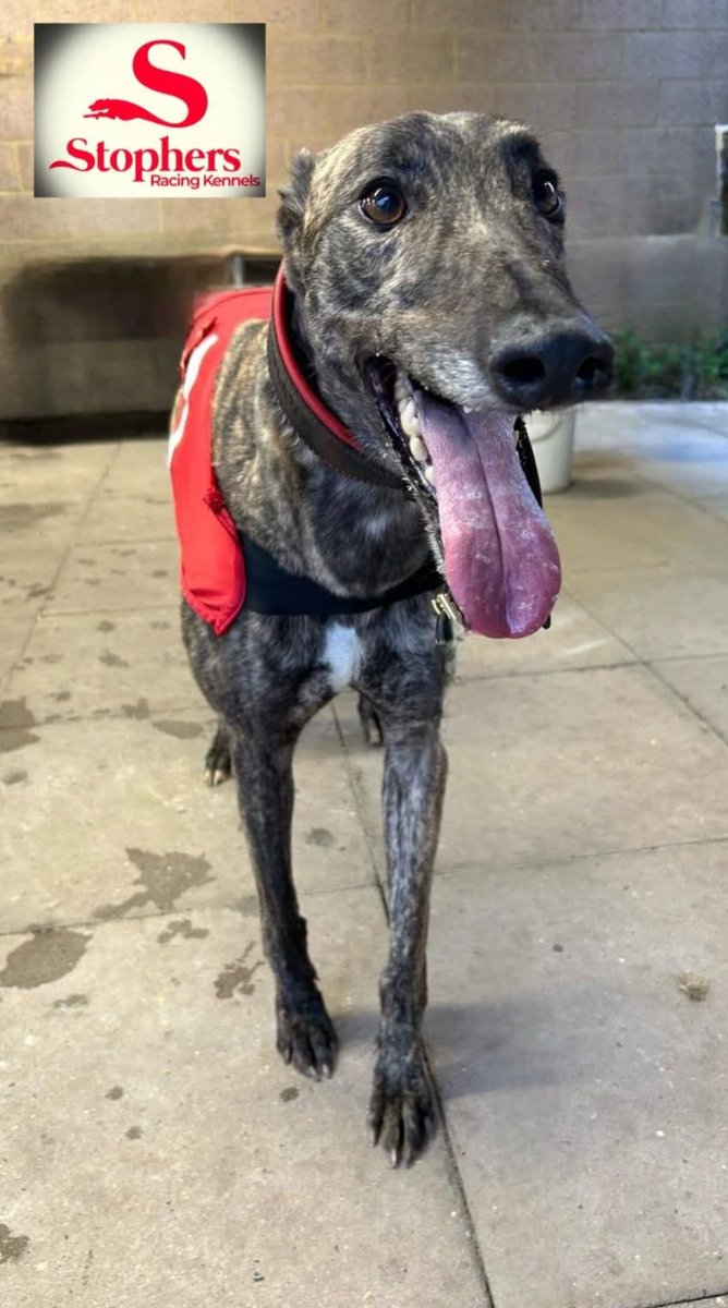 Go Ronald MacDonald 🥳🥰