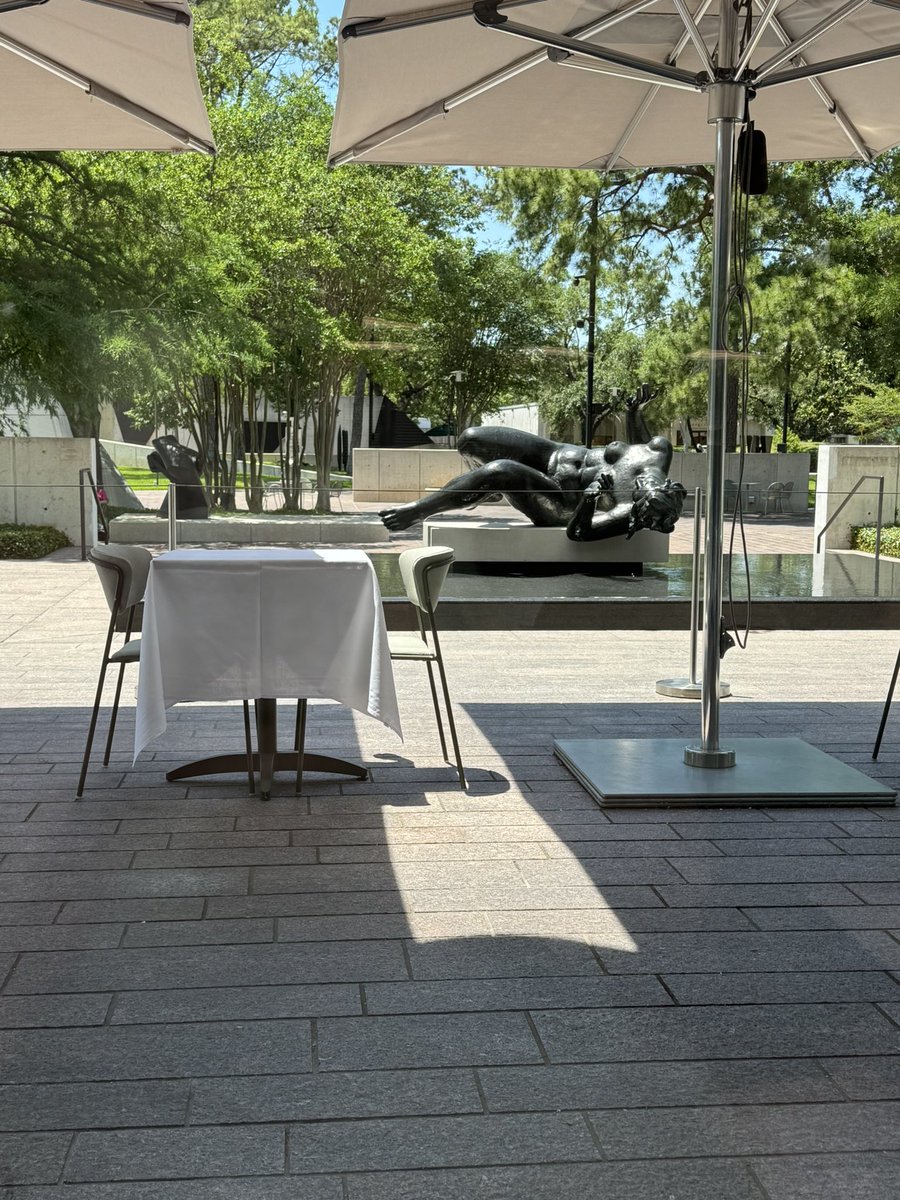 Vasilakis_Lab's tweet image. It's a beautiful afternoon in Houston. Regardless the insanity of our world, art is healing #mfah. But first, food and drinks are soothing the body and the soul. @Rossi_viruslab @sbviro @ASTMH @Virology_FAMERP @RafaelEliasMar1