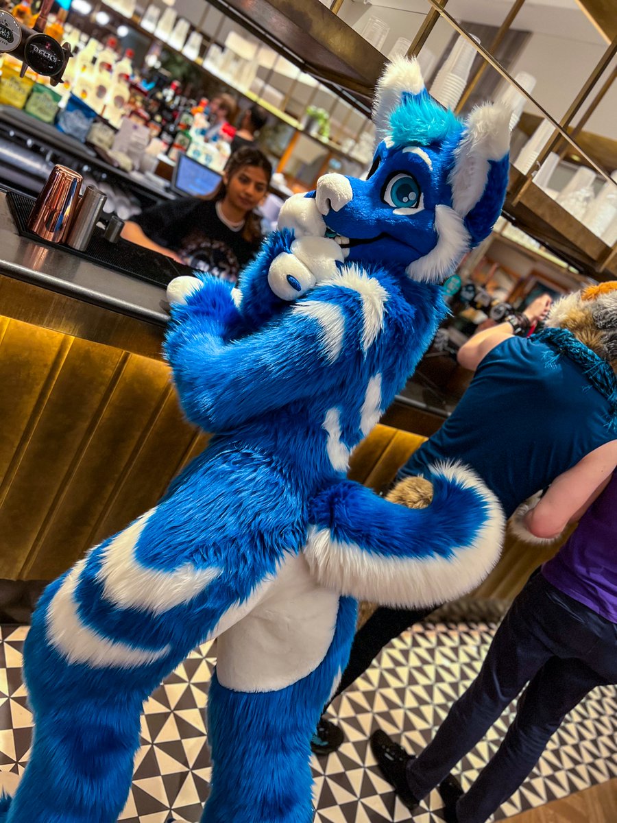 How to find me at #FWA2025 👀

✅️ Come up to me and say hi! 
✅️ Take photos of me in suit!
✅️ Ask for hugs! 

❌️ Absolutely do NOT squeeze/pick me up!!!
❌️ No gropes/flirting without permission!