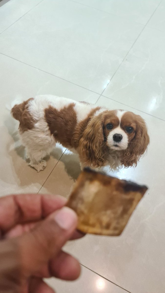 תכנות מונחה עצמות!