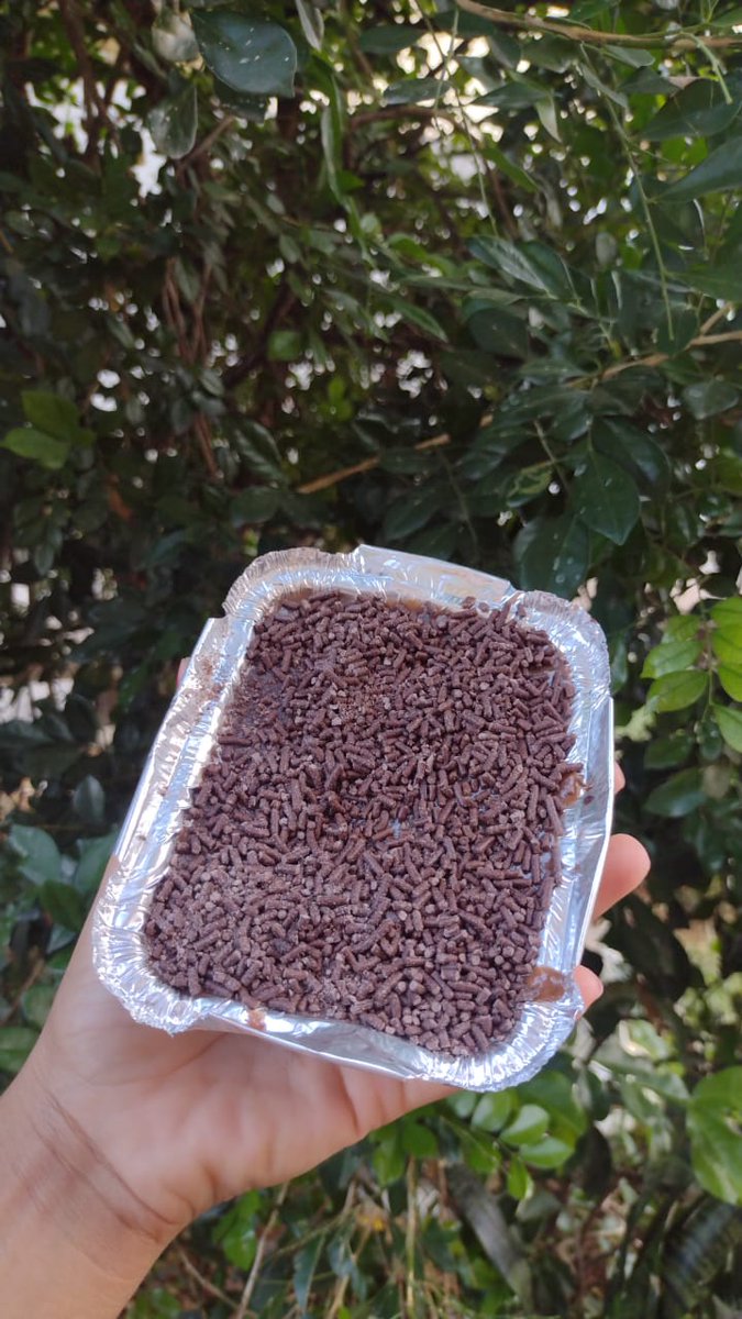 Boa tarde com essas delícias e so chamar 966498767🤭😋🥰🫶
