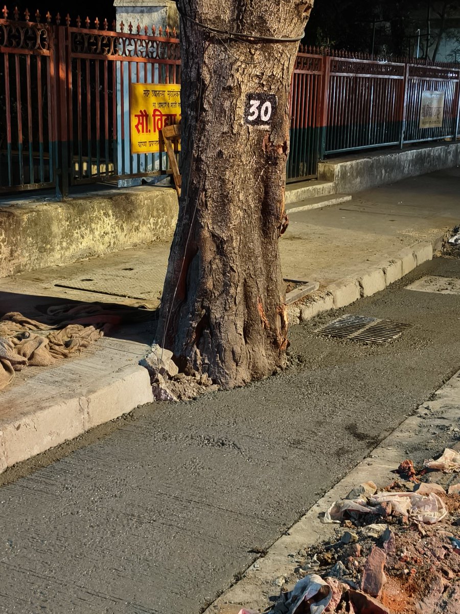 M.N.C.D.F (@mncdfbombay) on Twitter photo URGENT attn: <a href="/mybmc/">माझी Mumbai, आपली BMC</a> @mybmcinfra
Engineers and contractors are definitely not knowledgeable enough to protect trees.
Tree island completely choked up with concrete.
Violation of tender conditions and an offence to kill trees.
No barricading done to let the concrete dry.
Shri URGENT attn: <a href="/mybmc/">माझी Mumbai, आपली BMC</a> @mybmcinfra
Engineers and contractors are definitely not knowledgeable enough to protect trees.
Tree island completely choked up with concrete.
Violation of tender conditions and an offence to kill trees.
No barricading done to let the concrete dry.
Shri