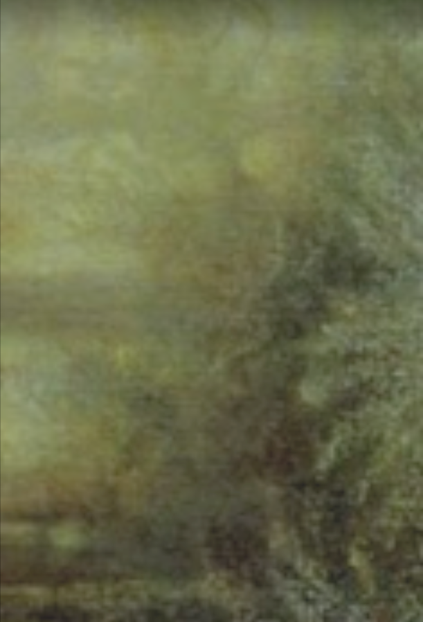 Owain Evans tweet media