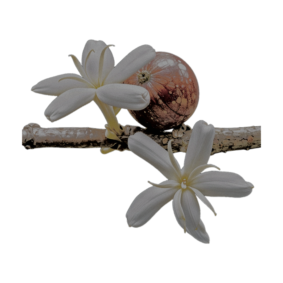 ᅟᅟ⭑ᅟ𝒮𝐡𝐚𝐫𝐥𝐞𝐧𝐞 . tweet media