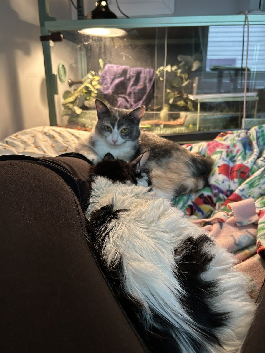 Mission accomplished