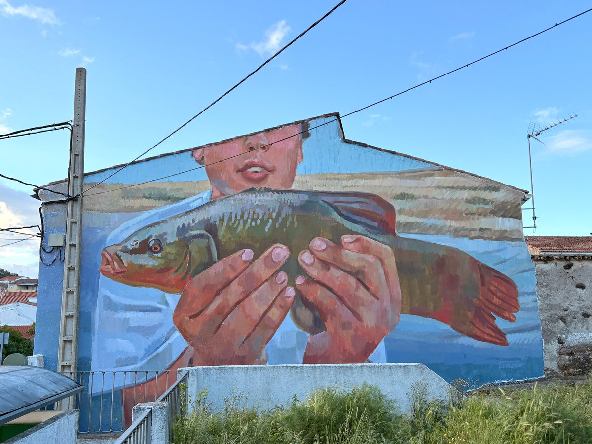 Ayuntamiento de Piedras Albas (Cáceres) tweet media