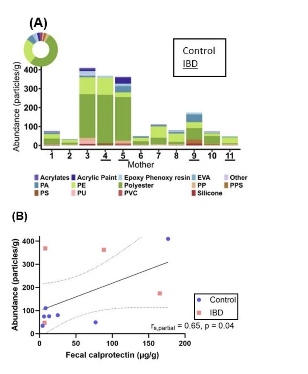 #DDW2025 Bring back the porcelaine dishes ! 

Could #microplastic (MP) increase risk of #IBD across generations? #PLANET

🔺11 🤰🏻, 4 with Crohns
🔺MP detected in all 💩 during 3rd trimester
🔺Higher MP count correlated with FCP, indicative of intestinal inflammation