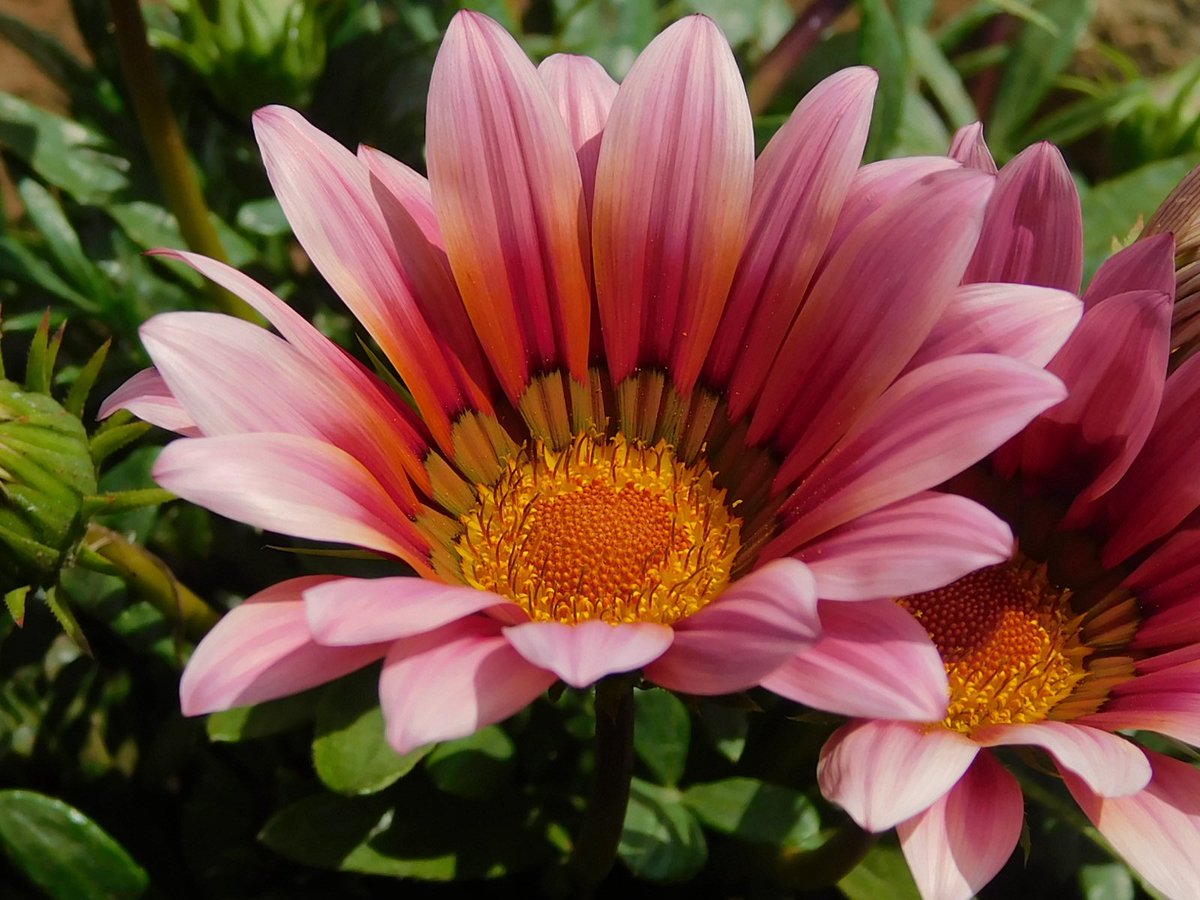 gabrifsar's tweet photo. Colores. https://t.co/ZdiTBJoJ1u