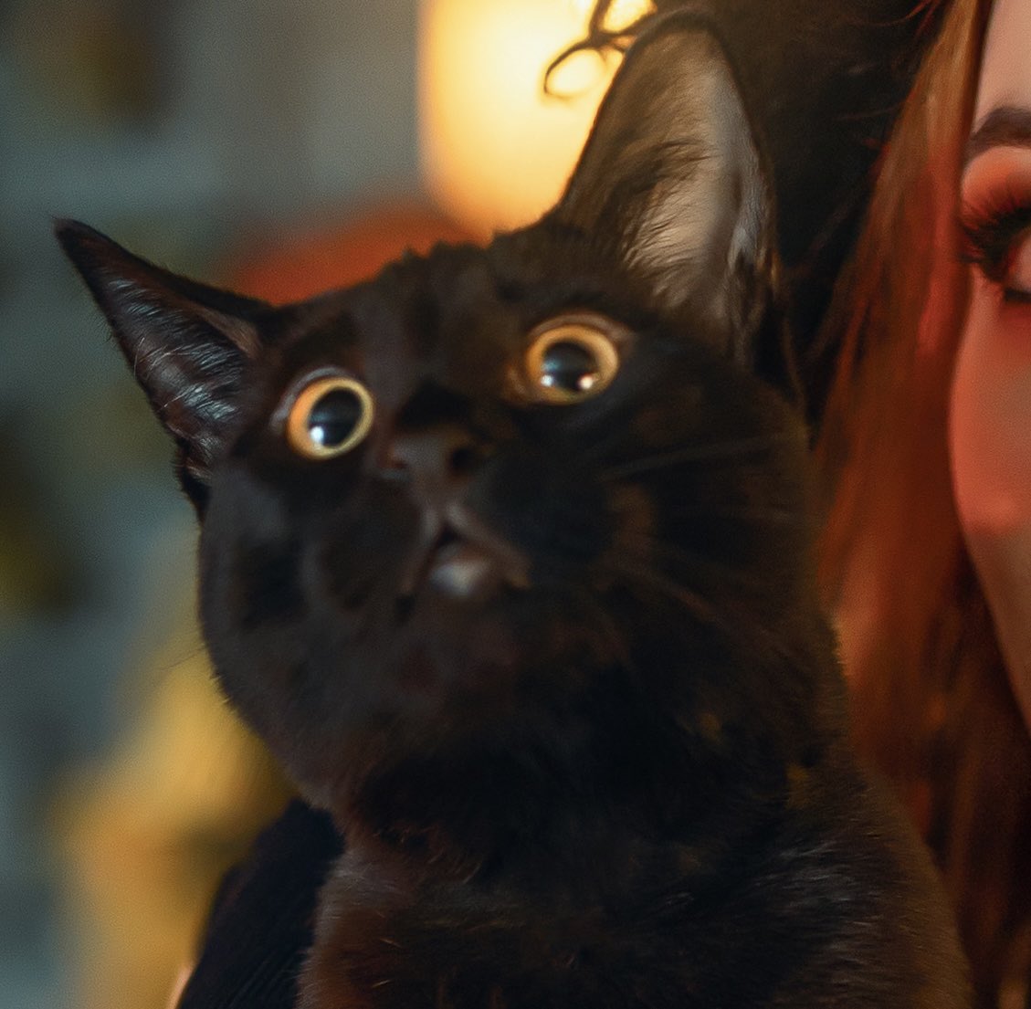 The moment we learned Nyx was the best model 😂😳