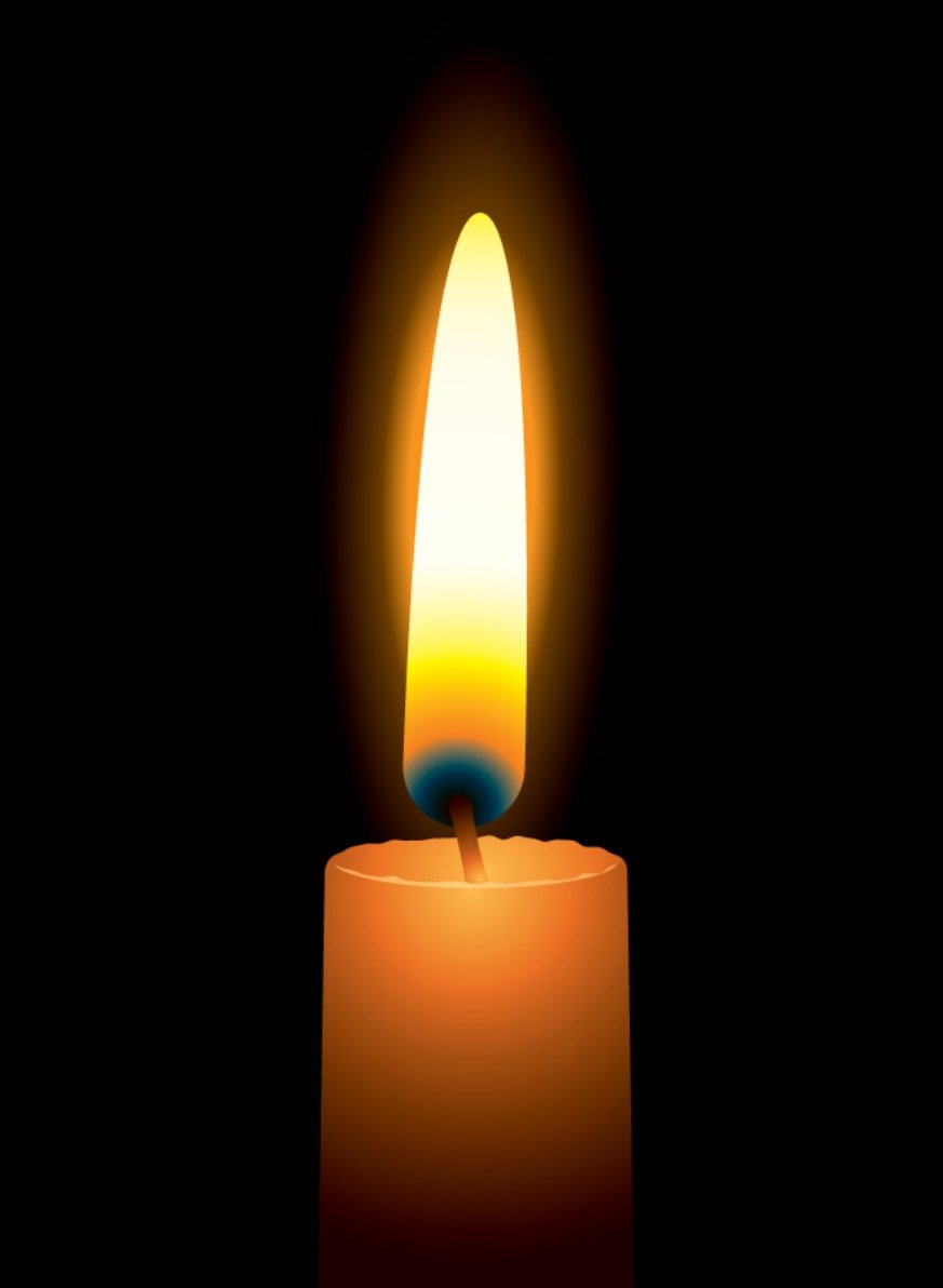 Jackson The Cat (@jacksonthecat2) on Twitter photo Mom and I light this candle to help dear Alfie make his way across the ๐Bridge. Hugs and purrs for his family. #CandleForAlfie #Hedgewatch <a href="/PoppyAndMolly2/">Alfie and Poppy ๐</a> Mom and I light this candle to help dear Alfie make his way across the ๐Bridge. Hugs and purrs for his family. #CandleForAlfie #Hedgewatch <a href="/PoppyAndMolly2/">Alfie and Poppy ๐</a>