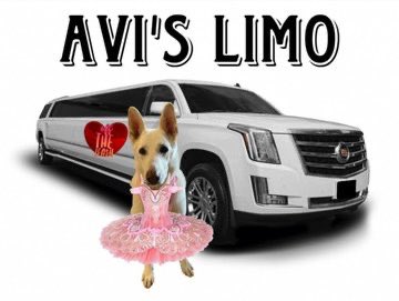 Avilovesdogsandcats❤️ (@aviwhitegsd) on Twitter photo <a href="/MillieOTLFP/">Millie🐾🌈Moose🐾🌈#OneForAllAndAllForMillie🐾</a> <a href="/basset_bella/">Angel Bella 💔🌈🐾🐶</a> Millie! *hugs* Well did you know I’ll be working hard this summer for my Limo ridez business and also my All Service Avian and Friends of Avians Especially Ducks Salon and Spa? Reserve your booking today! 👍🤭#OTLFP <a href="/BeatrixDuck/">Beatrix, Betty & duck crew and Miss Hermione Hog</a> <a href="/DuckHollythe/">Holly</a> <a href="/basset_bella/">Angel Bella 💔🌈🐾🐶</a> <a href="/MillieOTLFP/">Millie🐾🌈Moose🐾🌈#OneForAllAndAllForMillie🐾</a> <a href="/basset_bella/">Angel Bella 💔🌈🐾🐶</a> Millie! *hugs* Well did you know I’ll be working hard this summer for my Limo ridez business and also my All Service Avian and Friends of Avians Especially Ducks Salon and Spa? Reserve your booking today! 👍🤭#OTLFP <a href="/BeatrixDuck/">Beatrix, Betty & duck crew and Miss Hermione Hog</a> <a href="/DuckHollythe/">Holly</a> <a href="/basset_bella/">Angel Bella 💔🌈🐾🐶</a>