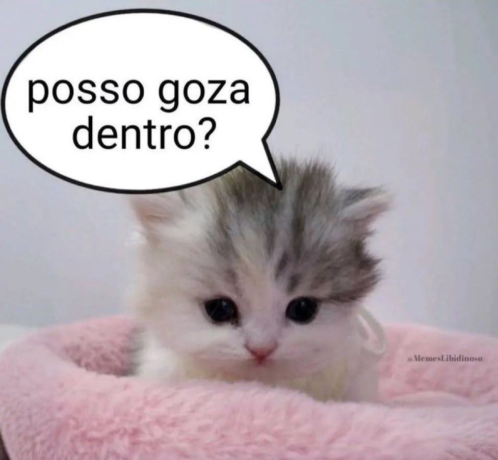 willwill 🚨 (@iamwillwill) on Twitter photo 