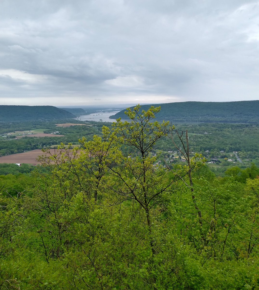 Peak No. 28 of my 'Sixty by Sixty' challenge, Peters Mountain- Table Rock. Some steep grades and lots of slippery rocks, but somehow managed to stay on my feet way better than earlier this week. 😂🏃⛰️