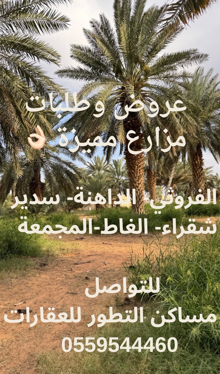 مساكن التطور للعقارات tweet media