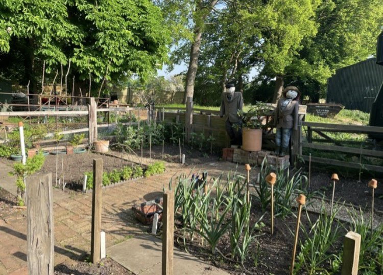 Friday was a garden adventure as Paddock School students watered, harvested, planted beans 🫘, picked herbs 🌿, explored the nature trail &amp; found tadpoles! 🐸 Huge thanks to our volunteers, including 4 fantastic new faces! 🙌 #OutdoorLearning #gardening  #NatureExploration