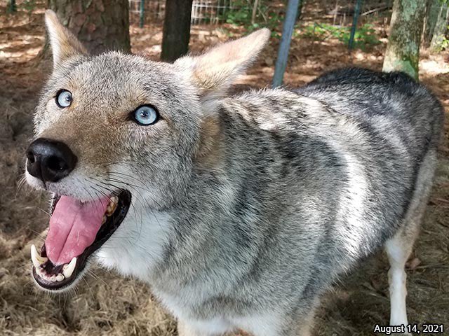 This is what I look like irl.