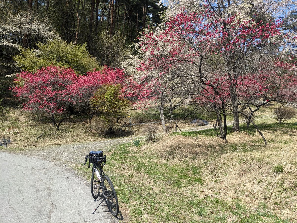 kensin0415's tweet photo. 箕輪ダムから有賀峠への、サイクリングロード。#有賀峠#箕輪ダム https://t.co/7oW7JCNQFB
