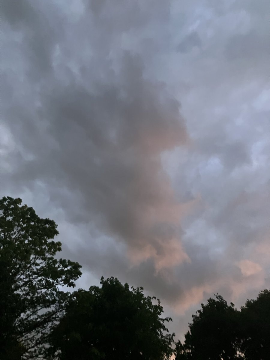 Ken Perry tweet media