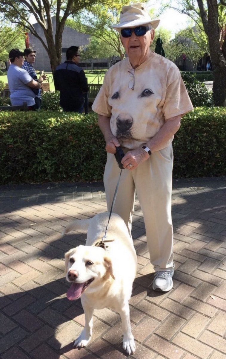 RespectfulMemes's tweet image. 