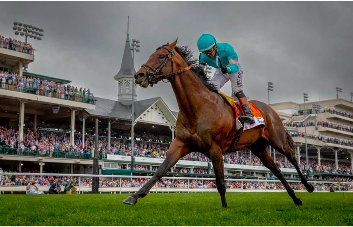 Zulu Kingdom makes 31 individual Grade 1 Winners for Hubert Guy Bloodstock.  Thank you to all who have supported this achievement over the years and more to come.