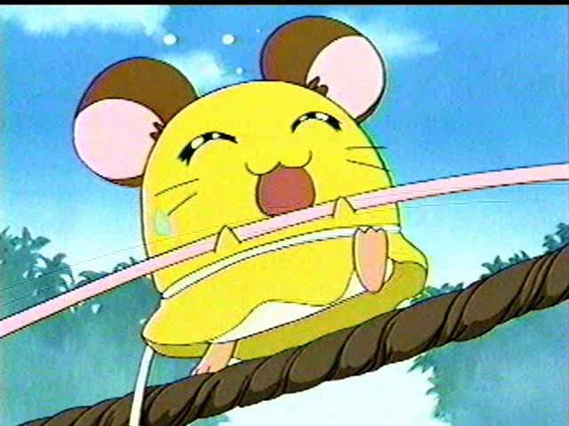 Hamtaro・ハム太郎・25th Anniversary on X