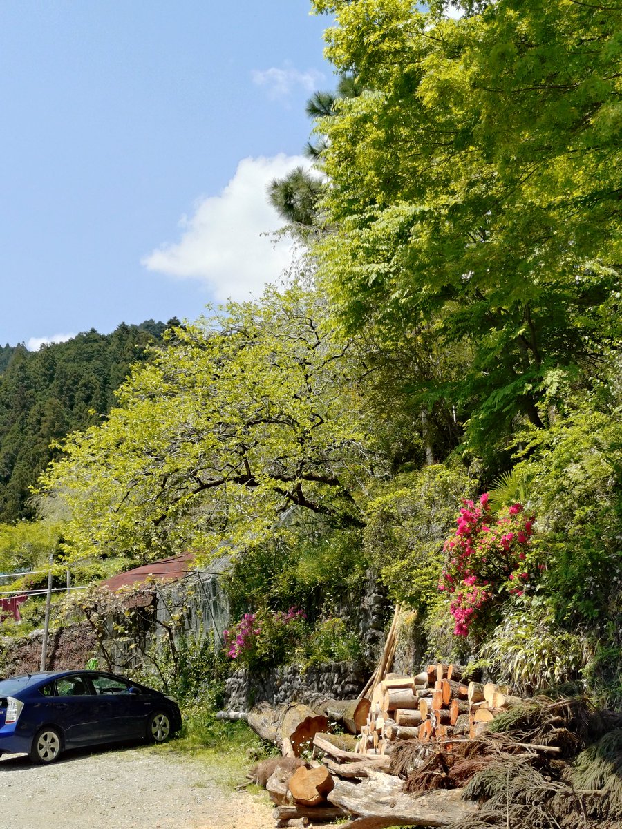 GWもそろそろ終盤とはいえ、まだまだ真っ只中。皆様いかがお過ごしですか？
今月頭に今まで何度か訪れた青梅の #成木 を訪れる機会がありました。
中島林業さんで行っている製材を見学させていただいたのです。
成木の豊かな自然や、その森に囲まれ何とも癒されました！ありがとうごさました！
#青梅