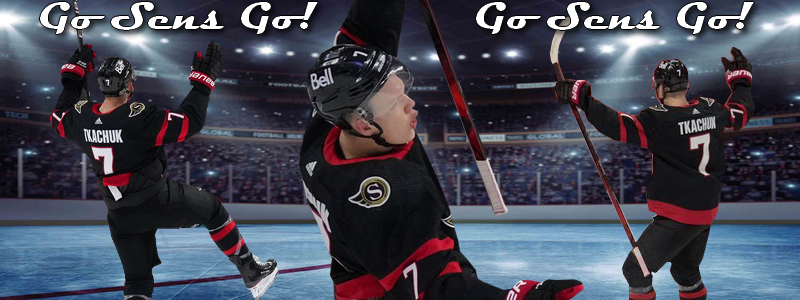 Sens Station! tweet media