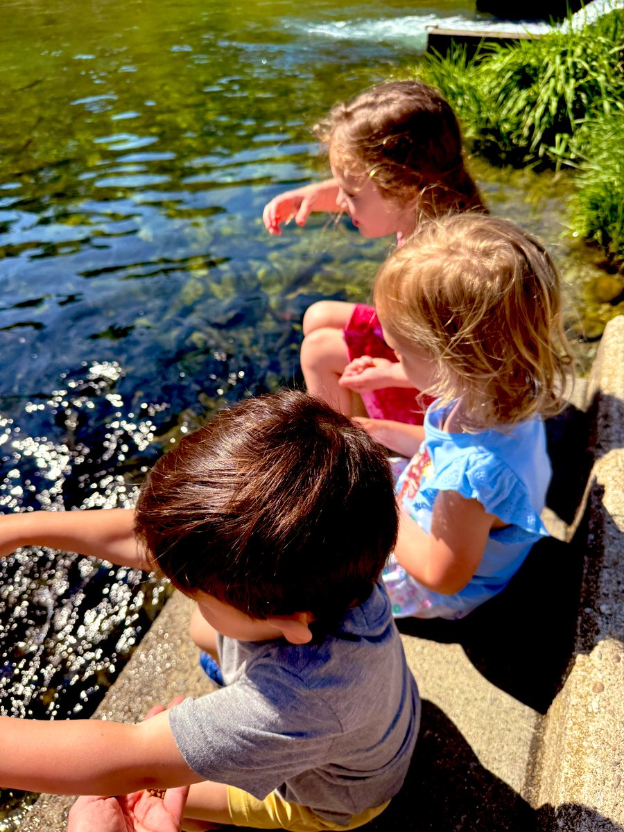 BugOutDadX's tweet image. Visited a local fish hatchery with the kids today 🐟 Learned how they raise trout for stocking lakes—pretty cool setup! Pro tip: Check hatchery release schedules for prime fishing spots!
What's your favorite fish to catch? #BugOutDad #FishingLife #OutdoorEd