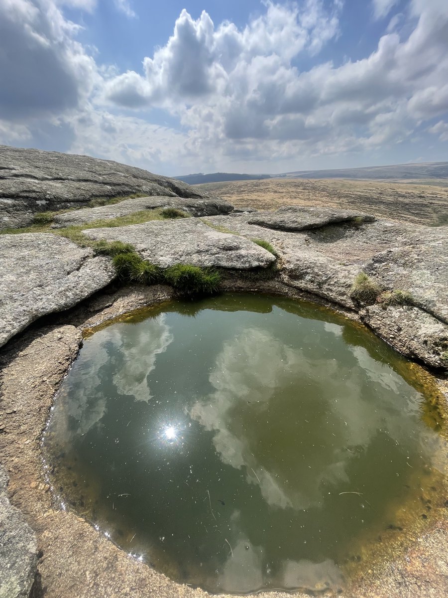 Sun, clouds and tadpoles in Kes Tor rock basin today!