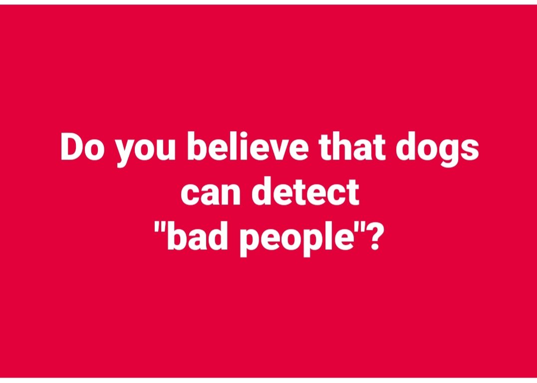 What do you think?