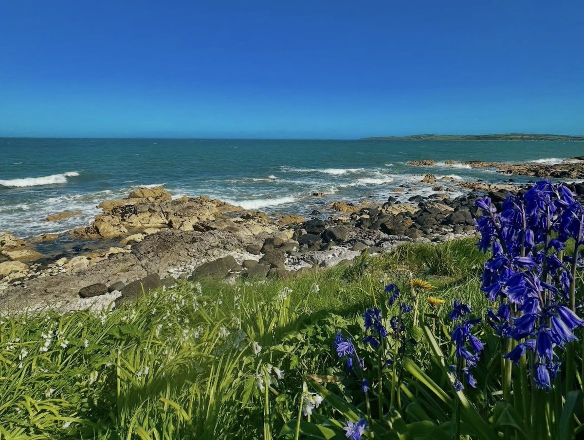 Beautiful day on the Antrim Coast Road. 

📸 Victoria Lambert