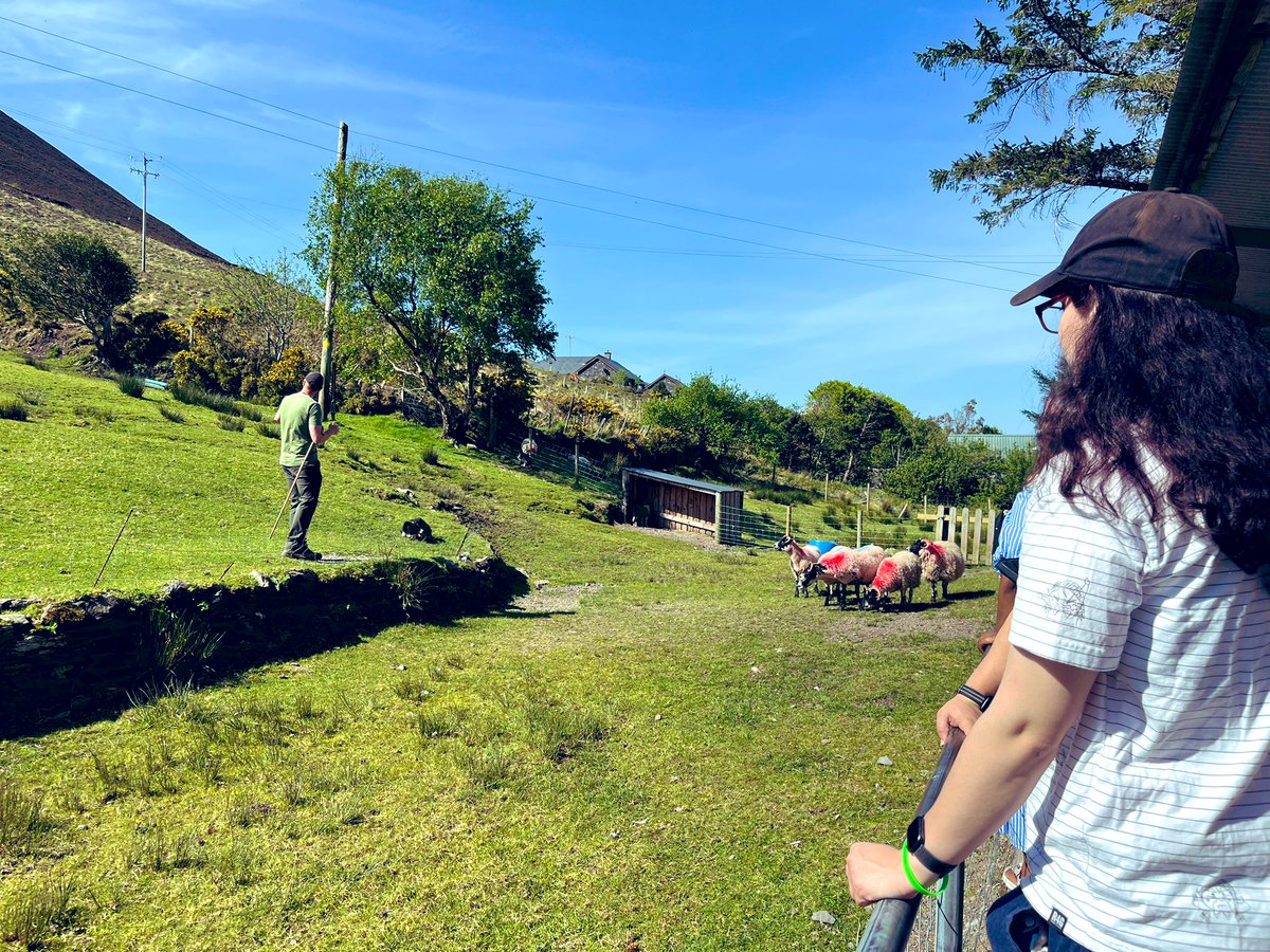 Edward Hart tweet media