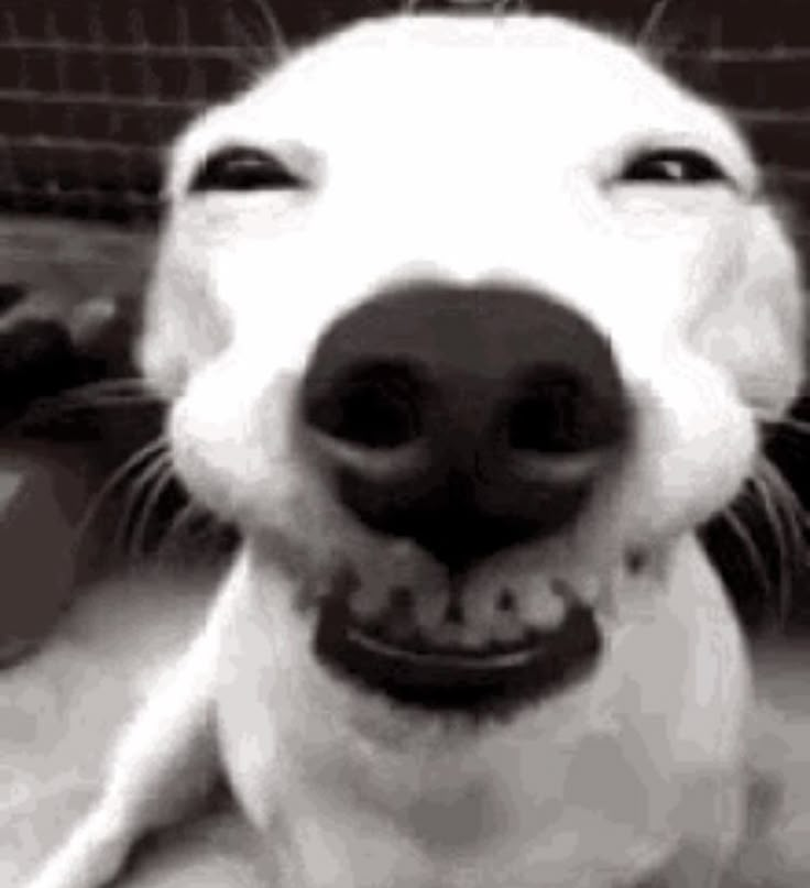 when i get back from visiting my family i am gonna play schedule 1 on twitch