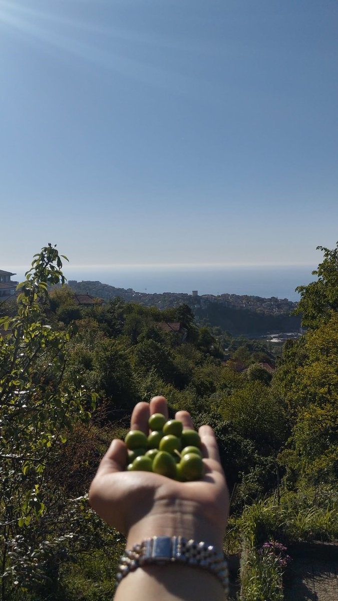 Karadeniz havası veeee erik🍃