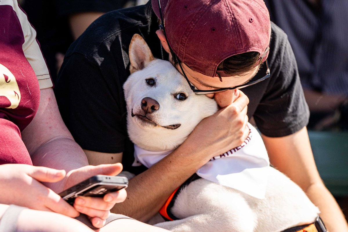 Texas State Bobcats (@txstatebobcats) on Twitter photo We loved having all of our furry friends out to Bobcat Ballpark for Bark at the Park! Brought to you by our partners at <a href="/raisingcanes/">Raising Cane's</a> πΎπ¦΄ We loved having all of our furry friends out to Bobcat Ballpark for Bark at the Park! Brought to you by our partners at <a href="/raisingcanes/">Raising Cane's</a> πΎπ¦΄