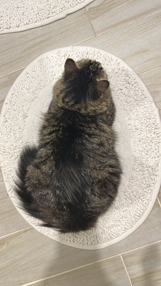 Geceye götücükümü bırakınıyorum isdeyen patpatnasın hiş kısmam