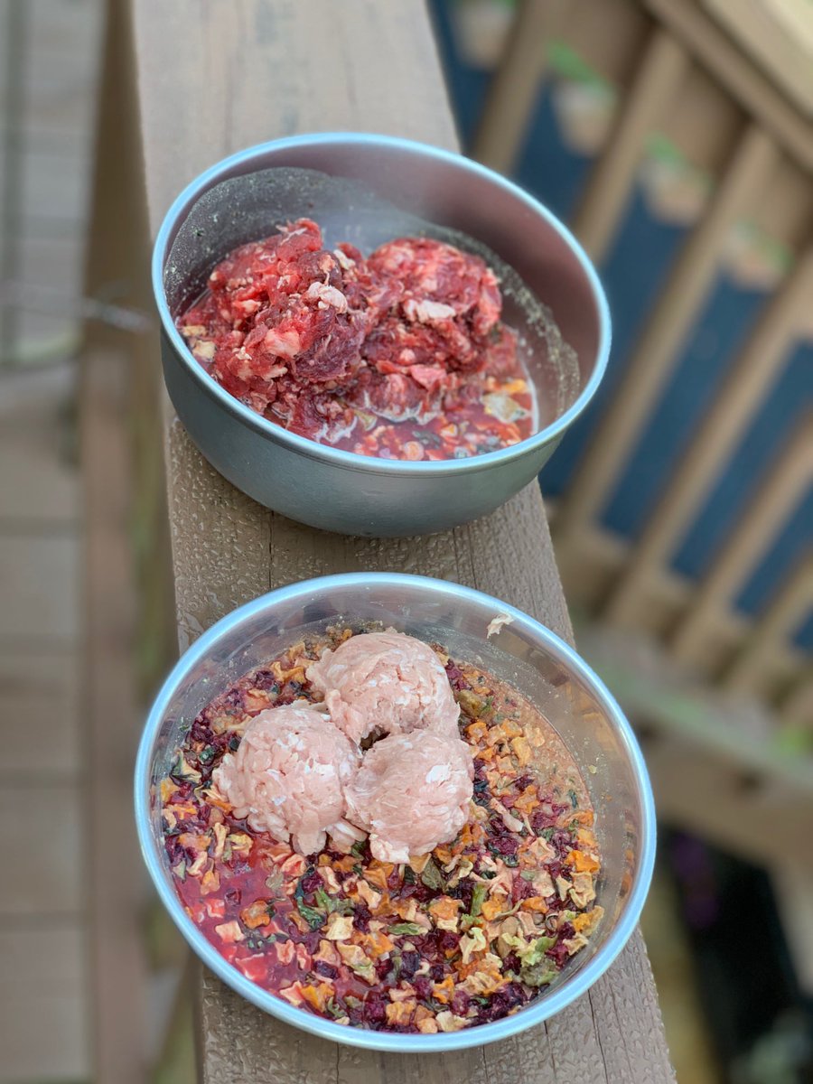 VolhardDogFood's tweet photo. 🐶 We understand how frustrating it can be to watch your beloved pet suffer from digestive problems or food intolerances.Volhard's Rescue Diet is a ✅ hypo-allergenic, ✅ non-GMO, ✅ organic, ✅ preservative-free diet sourced in the USA. 🇺🇸
 👉 https://t.co/pUxzzDtOAO 👈 https://t.co/f5vjwIW9pd