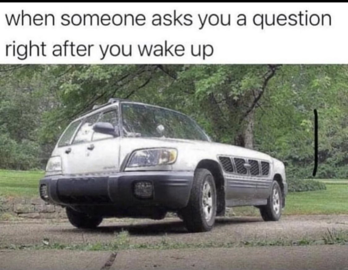 Mandi Pants tweet media