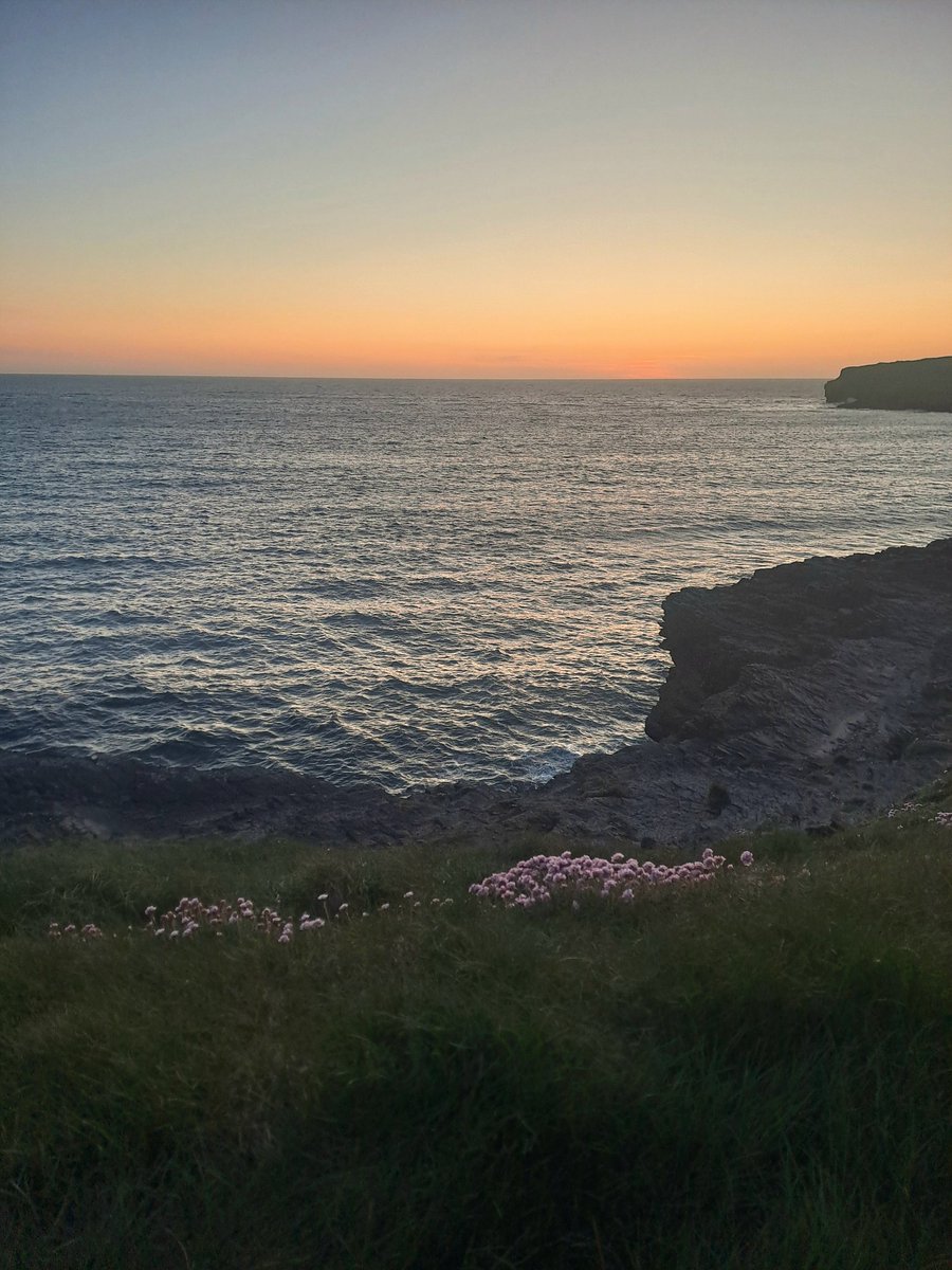 Donogh Sweeney tweet media