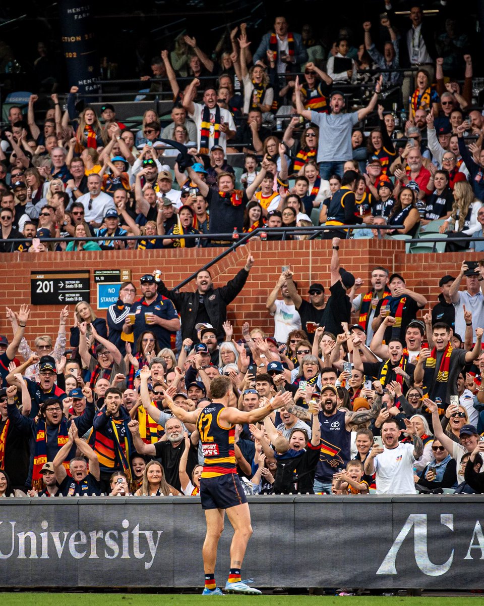 Adelaide_FC's tweet image. You 😍