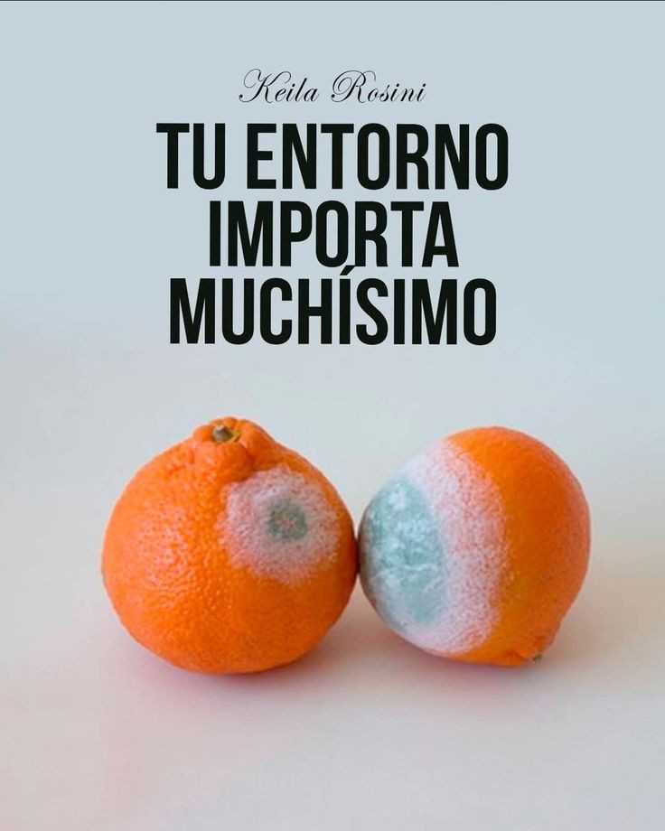 MentalidadFeroz (@mentalidadferoz) on Twitter photo 